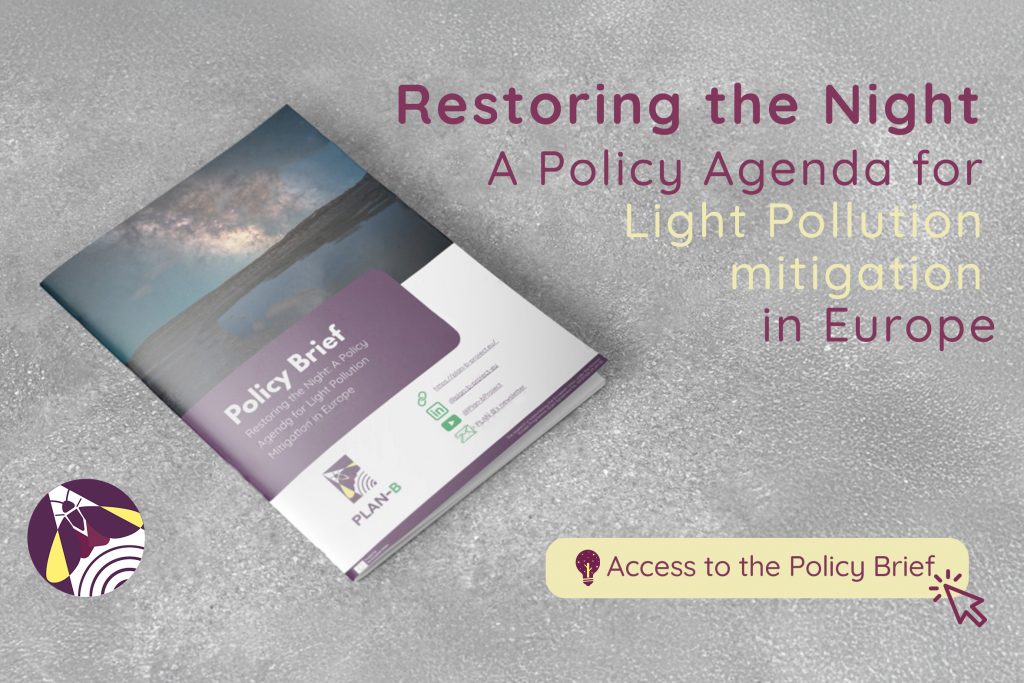 [plan b]restoring the night 4